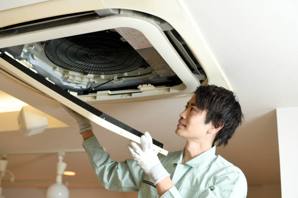 Best Affordable Duct Cleaning Services  in Ives Estates, FL